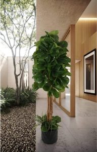 Garden Coutoure artificial fiddle leaf fig tree fiscus